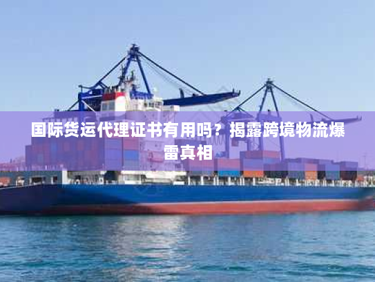 国际货运代理证书有用吗?揭露跨境物流爆雷真相 国际货运代理证书有用吗?揭露跨境物流爆雷真相