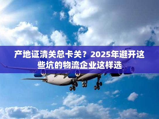 产地证清关总卡关？2025年避开这些坑的物流企业这样选