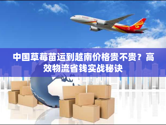 中国草莓苗运到越南价格贵不贵？高效物流省钱实战秘诀