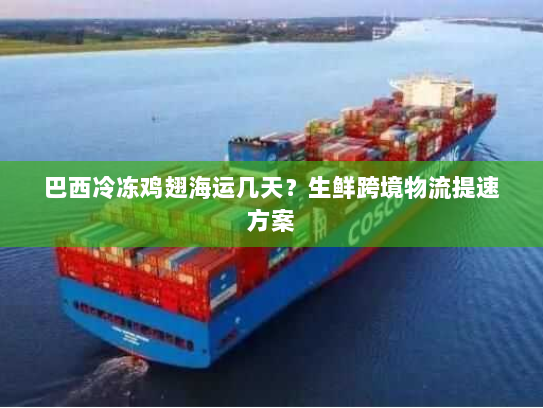 巴西冷冻鸡翅海运几天？生鲜跨境物流提速方案