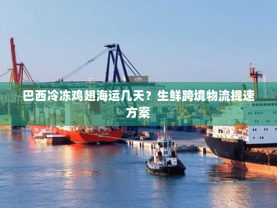 巴西冷冻鸡翅海运几天?生鲜跨境物流提速方案 巴西冷冻鸡翅海运几天?生鲜跨境物流提速方案