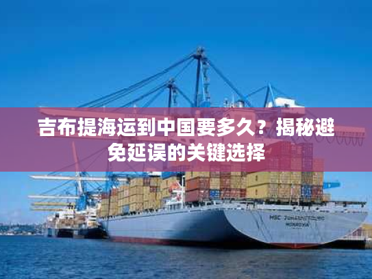 吉布提海运到中国要多久？揭秘避免延误的关键选择
