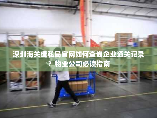 深圳海关缉私局官网如何查询企业通关记录？物业公司必读指南