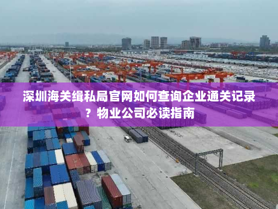 深圳海关缉私局官网如何查询企业通关记录？物业公司必读指南
