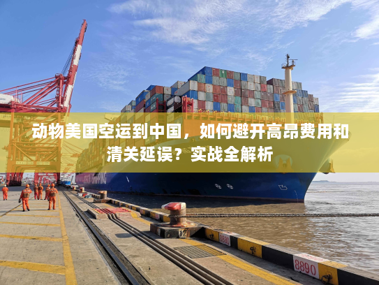 动物美国空运到中国,如何避开高昂费用和清关延误?实战全解析 动物美国空运到中国,如何避开高昂费用和清关延误?实战全解析