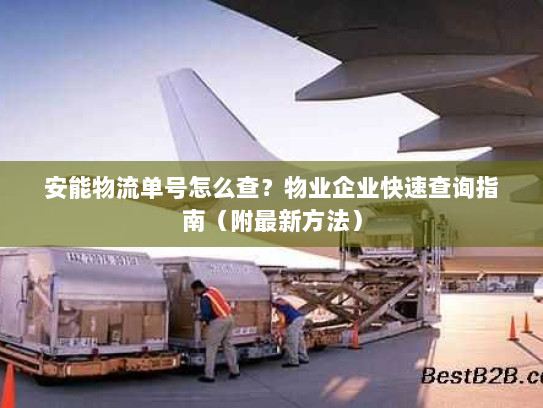 安能物流单号怎么查？物业企业快速查询指南（附最新方法）