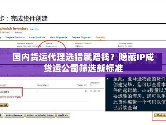 国内货运代理选错就赔钱?隐藏IP成货运公司筛选新标准 国内货运代理选错就赔钱?隐藏IP成货运公司筛选新标准
