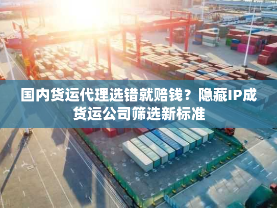 国内货运代理选错就赔钱?隐藏IP成货运公司筛选新标准 国内货运代理选错就赔钱?隐藏IP成货运公司筛选新标准