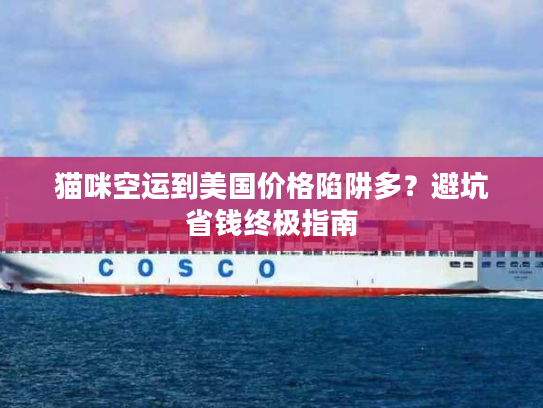 猫咪空运到美国价格陷阱多？避坑省钱终极指南