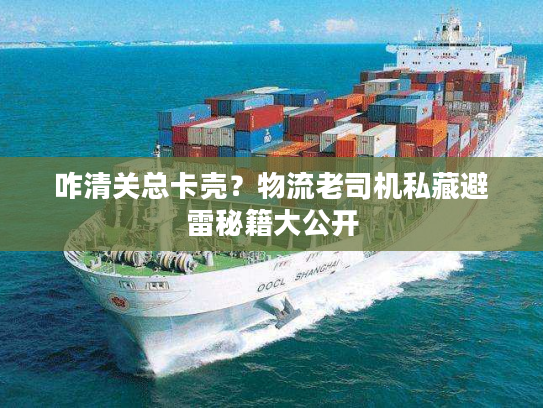 咋清关总卡壳？物流老司机私藏避雷秘籍大公开