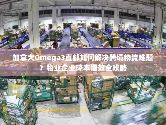 加拿大Omega3直邮如何解决跨境物流难题?物业企业降本增效全攻略 加拿大Omega3直邮如何解决跨境物流难题?物业企业降本增效全攻略