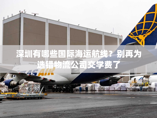 深圳有哪些国际海运航线?别再为选错物流公司交学费了 深圳有哪些国际海运航线?别再为选错物流公司交学费了
