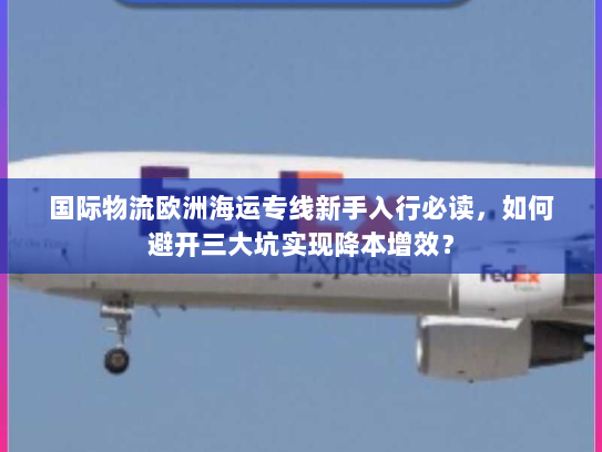 国际物流欧洲海运专线新手入行必读，如何避开三大坑实现降本增效？