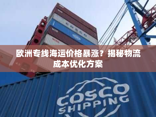 欧洲专线海运价格暴涨？揭秘物流成本优化方案