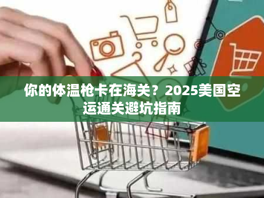 你的体温枪卡在海关？2025美国空运通关避坑指南