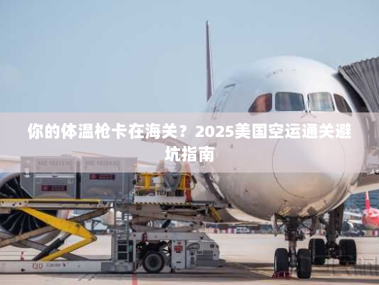 你的体温枪卡在海关？2025美国空运通关避坑指南