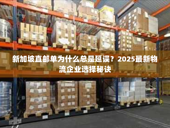 新加坡直邮单为什么总是延误?2025最新物流企业选择秘诀 新加坡直邮单为什么总是延误?2025最新物流企业选择秘诀