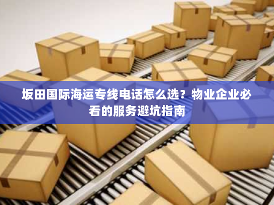 坂田国际海运专线电话怎么选?物业企业必看的服务避坑指南 坂田国际海运专线电话怎么选?物业企业必看的服务避坑指南