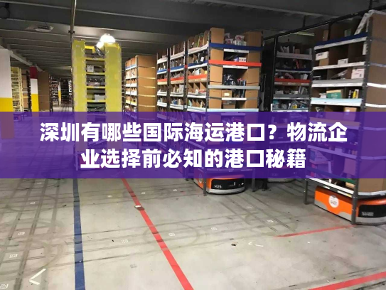 深圳有哪些国际海运港口？物流企业选择前必知的港口秘籍