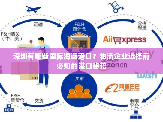 深圳有哪些国际海运港口？物流企业选择前必知的港口秘籍