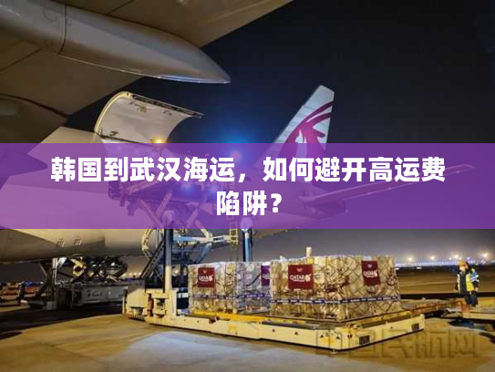 韩国到武汉海运，如何避开高运费陷阱？
