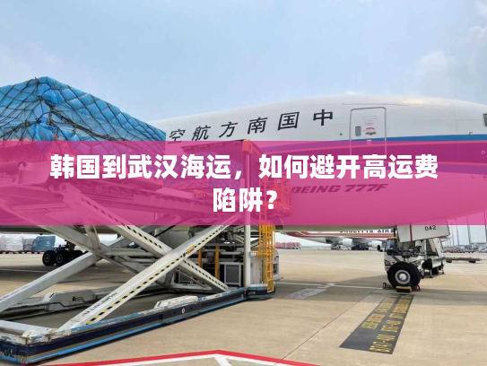 韩国到武汉海运，如何避开高运费陷阱？