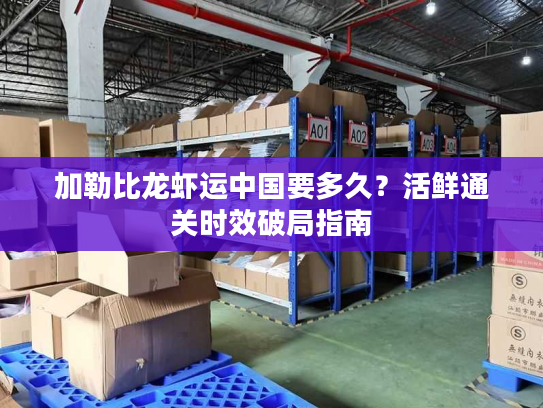 加勒比龙虾运中国要多久？活鲜通关时效破局指南