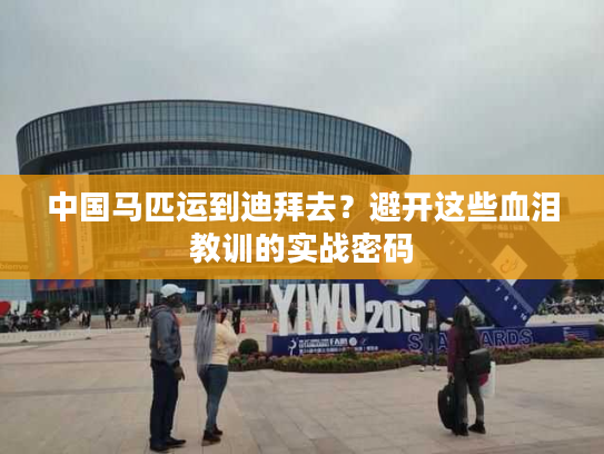 中国马匹运到迪拜去？避开这些血泪教训的实战密码