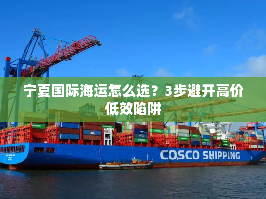 宁夏国际海运怎么选？3步避开高价低效陷阱