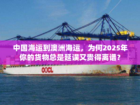 中国海运到澳洲海运，为何2025年你的货物总是延误又贵得离谱？