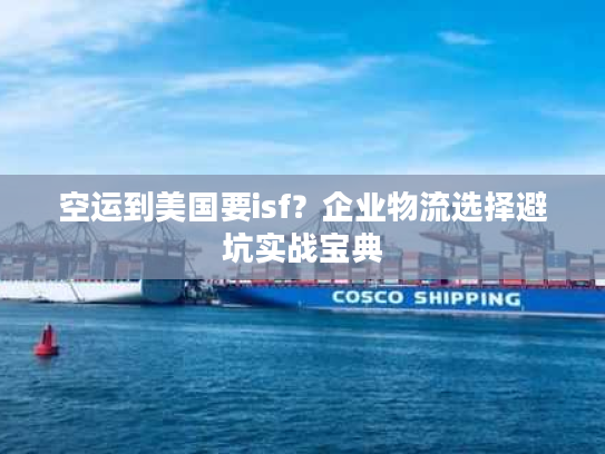 空运到美国要isf？企业物流选择避坑实战宝典
