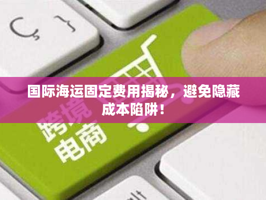 国际海运固定费用揭秘,避免隐藏成本陷阱! 国际海运固定费用揭秘,避免隐藏成本陷阱!