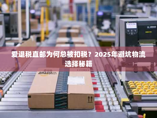 爱退税直邮为何总被扣税?2025年避坑物流选择秘籍 爱退税直邮为何总被扣税?2025年避坑物流选择秘籍