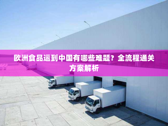 欧洲食品运到中国有哪些难题?全流程通关方案解析 欧洲食品运到中国有哪些难题?全流程通关方案解析