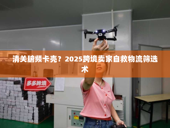 清关腑频卡壳?2025跨境卖家自救物流筛选术 清关腑频卡壳?2025跨境卖家自救物流筛选术