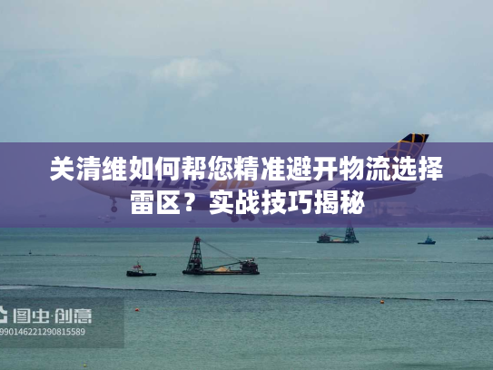 关清维如何帮您精准避开物流选择雷区？实战技巧揭秘