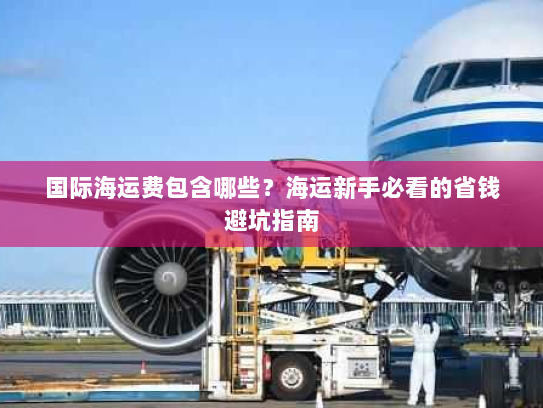 国际海运费包含哪些？海运新手必看的省钱避坑指南