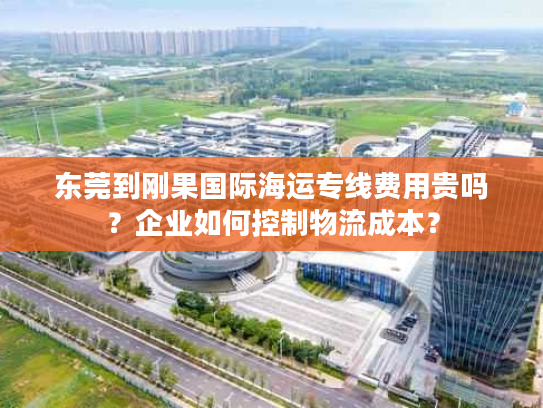 东莞到刚果国际海运专线费用贵吗？企业如何控制物流成本？