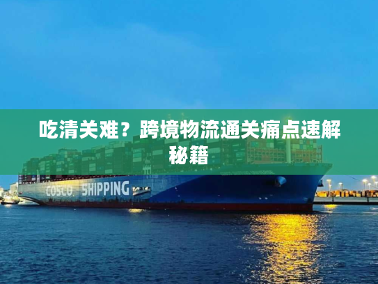 吃清关难?跨境物流通关痛点速解秘籍 吃清关难?跨境物流通关痛点速解秘籍