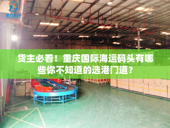 货主必看！重庆国际海运码头有哪些你不知道的选港门道？