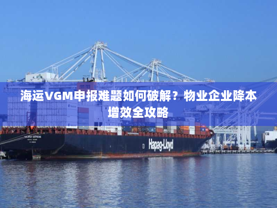 海运VGM申报难题如何破解?物业企业降本增效全攻略 海运VGM申报难题如何破解?物业企业降本增效全攻略