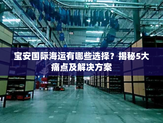 宝安国际海运有哪些选择？揭秘5大痛点及解决方案