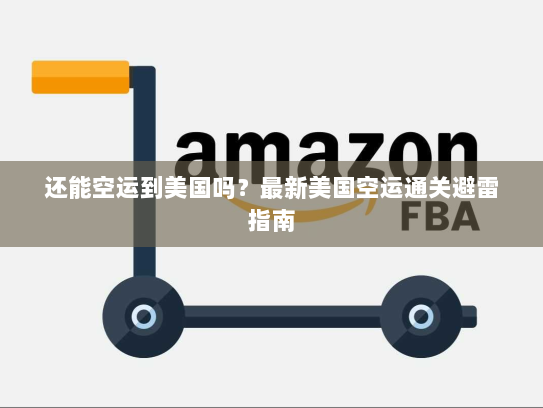 还能空运到美国吗?最新美国空运通关避雷指南 还能空运到美国吗?最新美国空运通关避雷指南