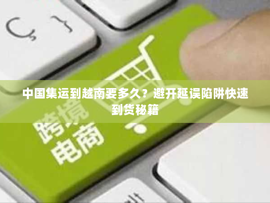中国集运到越南要多久?避开延误陷阱快速到货秘籍 中国集运到越南要多久?避开延误陷阱快速到货秘籍
