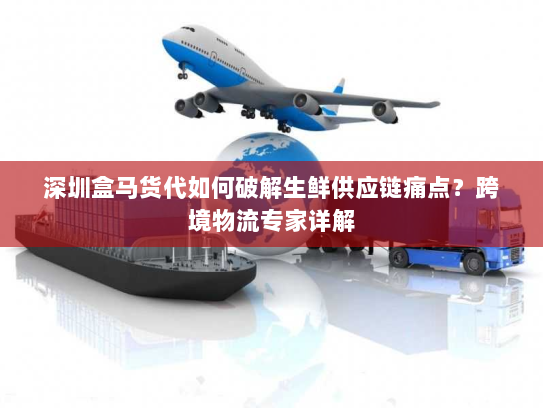 深圳盒马货代如何破解生鲜供应链痛点?跨境物流专家详解 深圳盒马货代如何破解生鲜供应链痛点?跨境物流专家详解