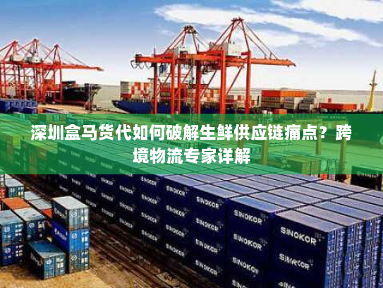 深圳盒马货代如何破解生鲜供应链痛点?跨境物流专家详解 深圳盒马货代如何破解生鲜供应链痛点?跨境物流专家详解