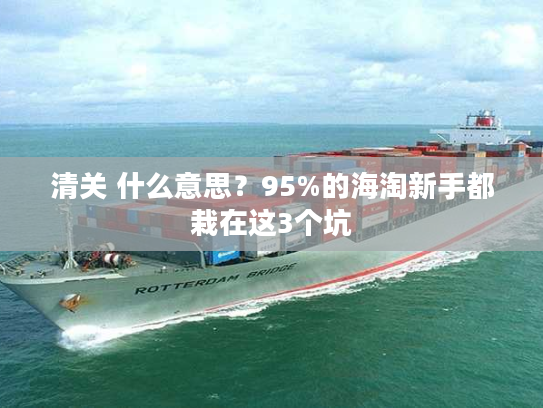 清关 什么意思?95%的海淘新手都栽在这3个坑 清关 什么意思?95%的海淘新手都栽在这3个坑