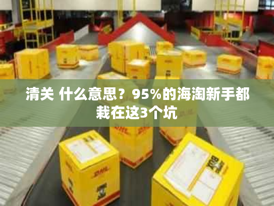 清关 什么意思?95%的海淘新手都栽在这3个坑 清关 什么意思?95%的海淘新手都栽在这3个坑