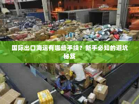 国际出口海运有哪些手续？新手必知的避坑秘笈