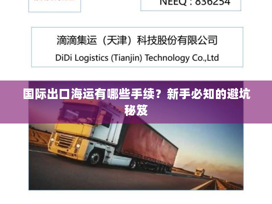 国际出口海运有哪些手续？新手必知的避坑秘笈